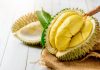 Learn All About The Durian Fruit